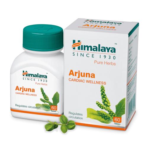 Arjuna护心片
