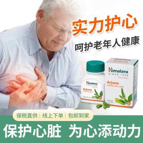 Arjuna护心片