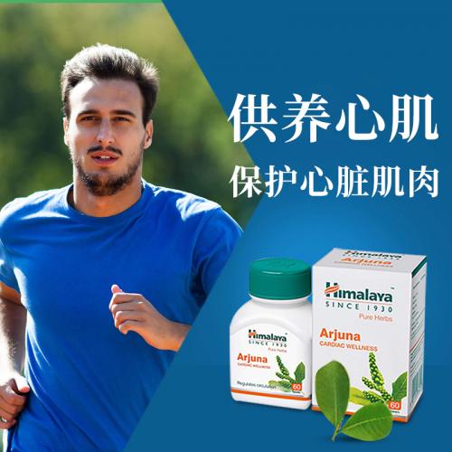 Arjuna护心片